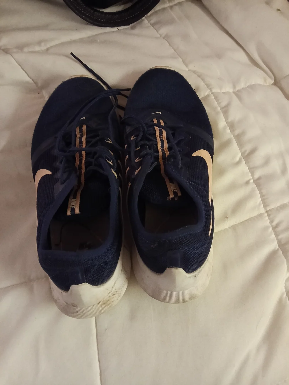 Nike Women's Navy and Light Pink Running Shoes